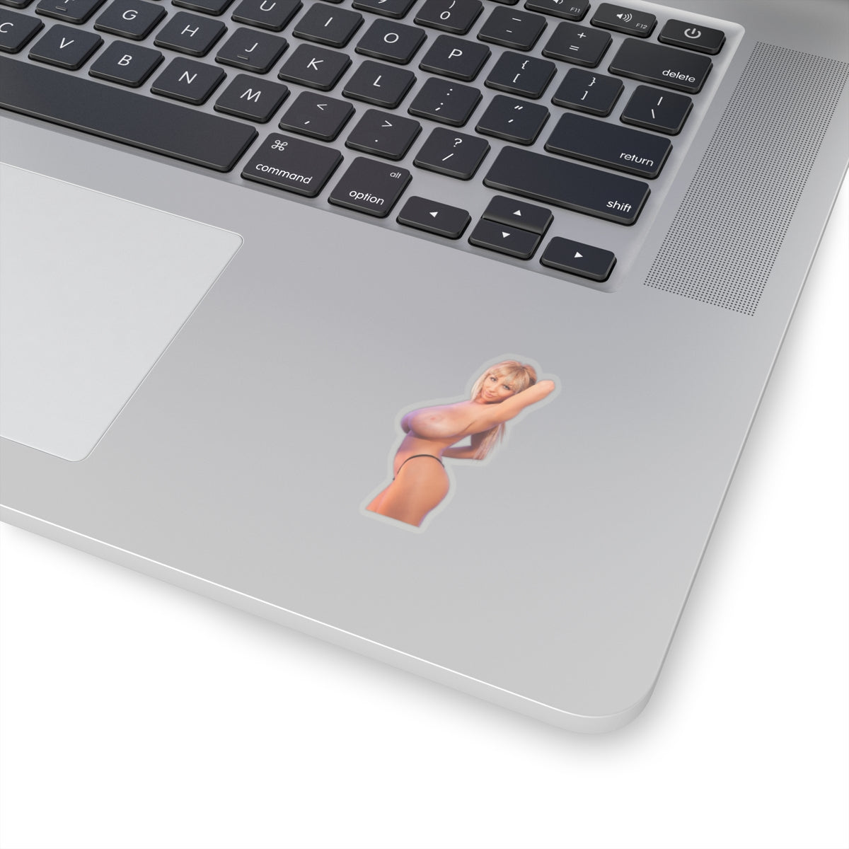 Sexy Girl Sticker Big Tits Women Pinup Model Uncensored Adult Laptop Water Bottle Vinyl Stickers E500