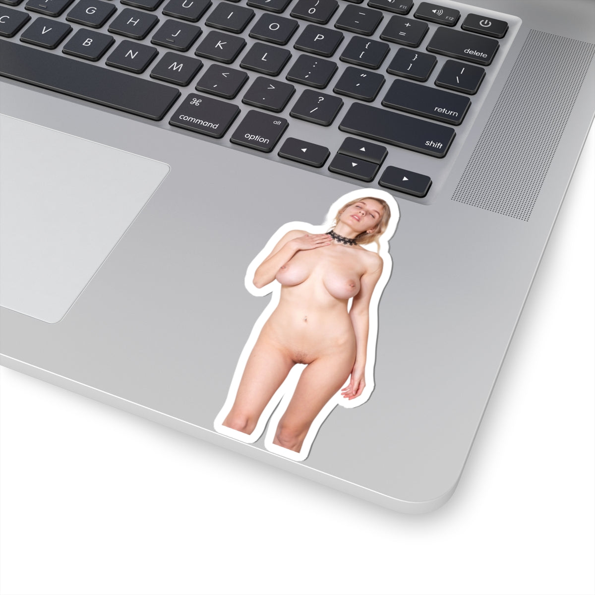 Stickers For Adults Sexy Pinup Girl Sticker