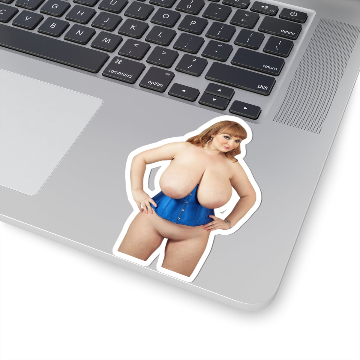 Big Boobs Thicc Curvy Naked Girl Stickers