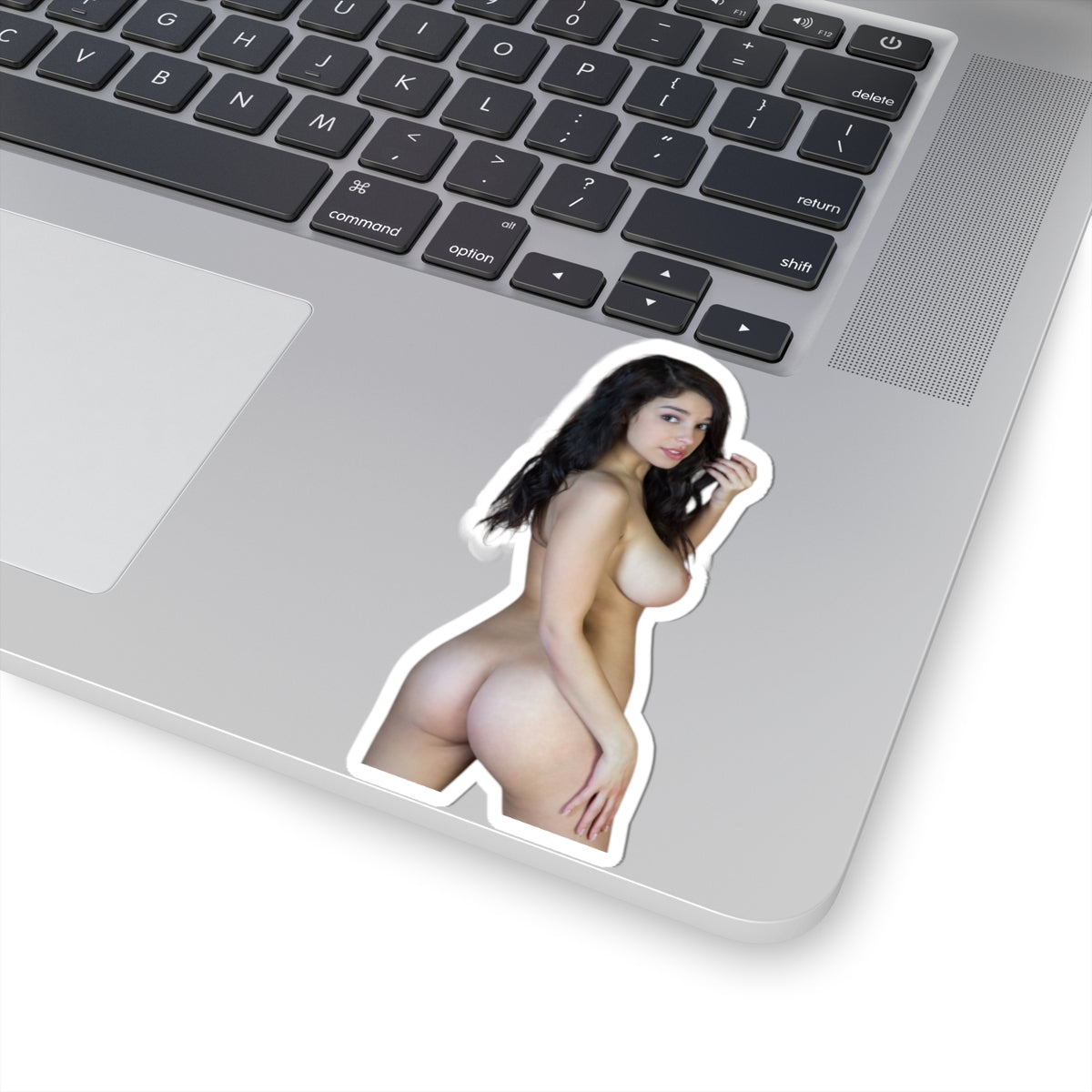 Sexy Nude Girl Decal Pinup Beauty Big Boobs Adult Vinyl Sticker Gift