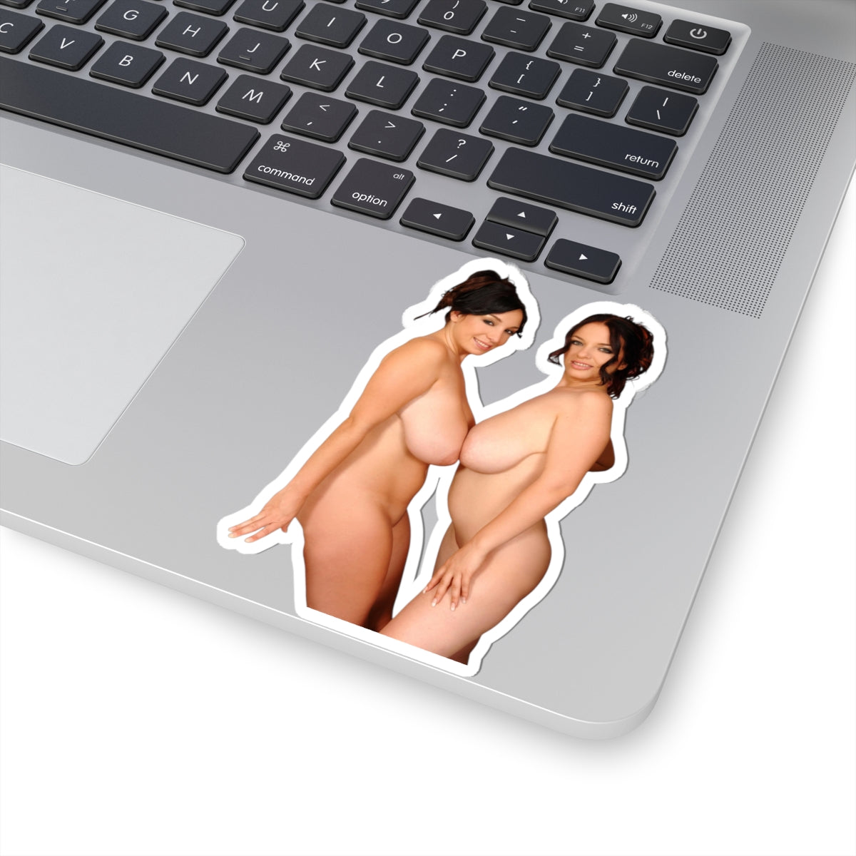 big boobs girl stickers