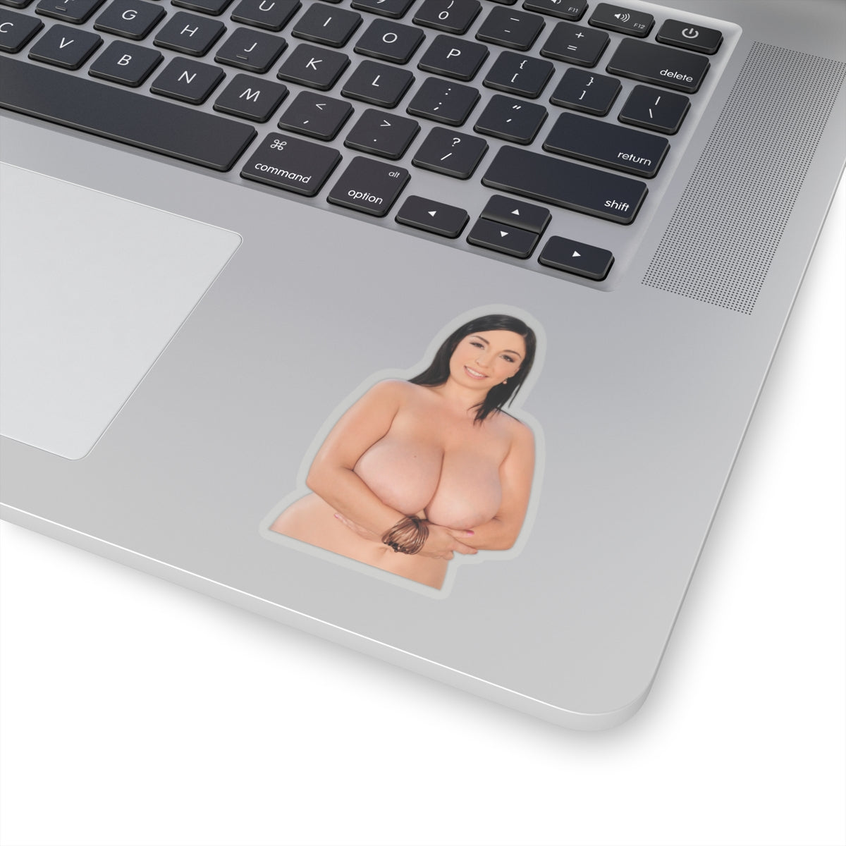 Curvy Woman Pinup Sticker Vinyl Decal Glamour Adult Artwork