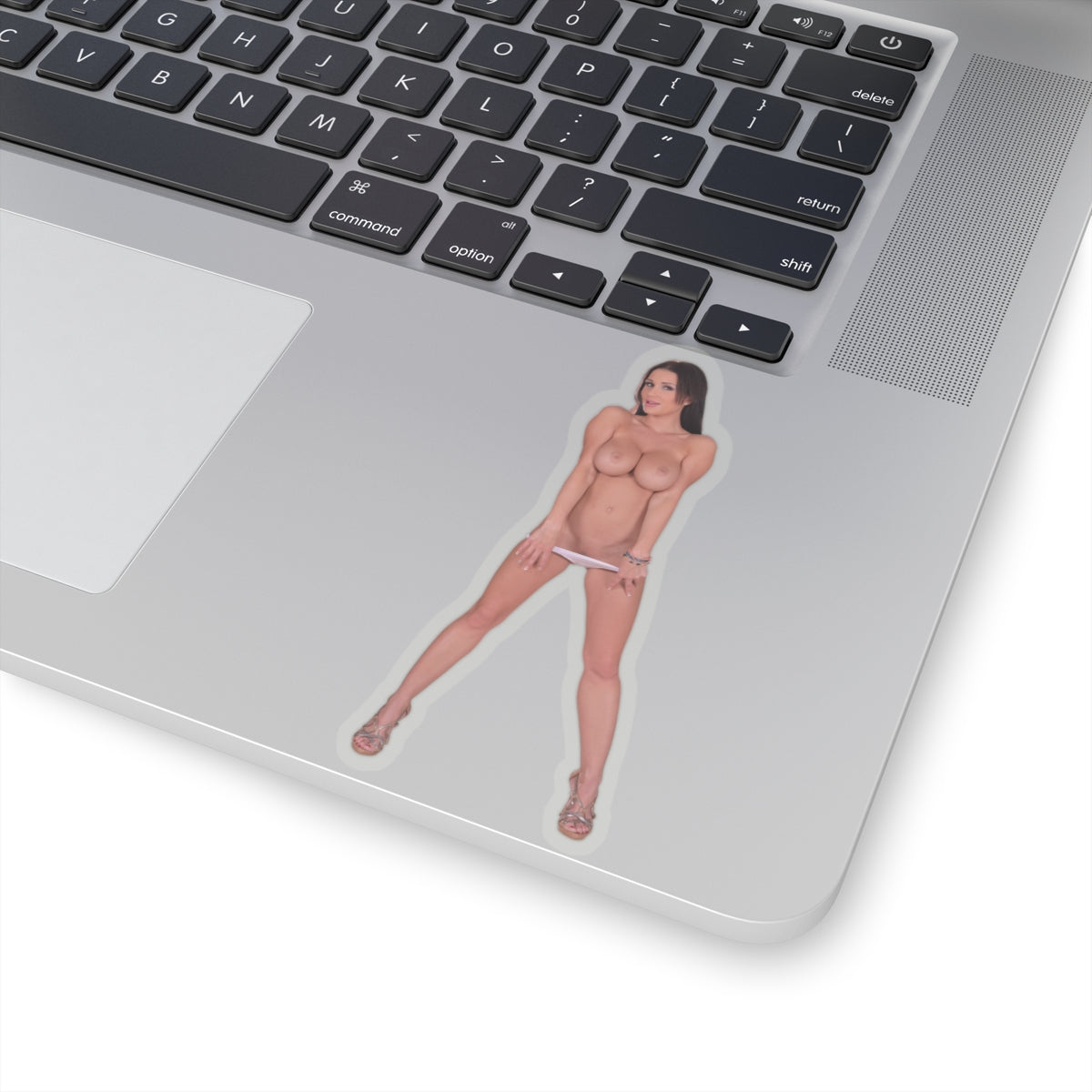 Beautiful Sexy Big Boobs Women Stickers