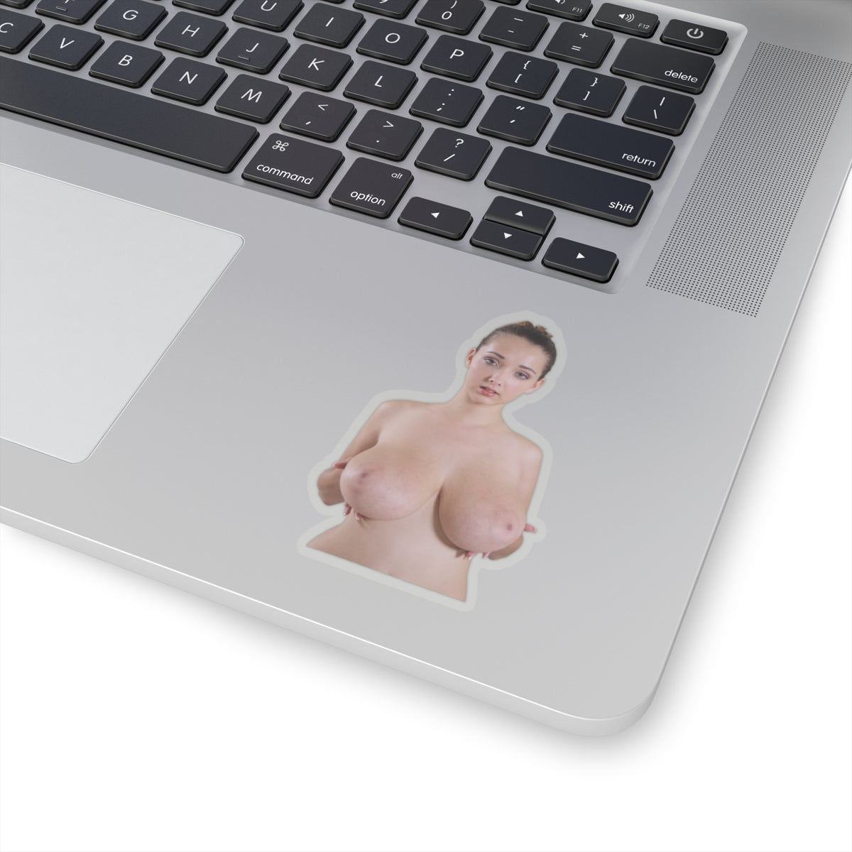 Big Tits Girl Sticker