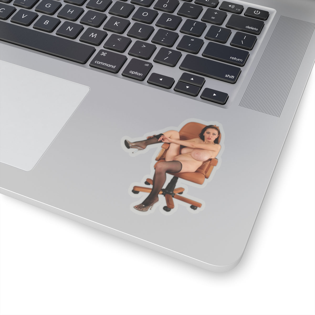Naked Model Sticker Sexy Girl Big Breast Stickers