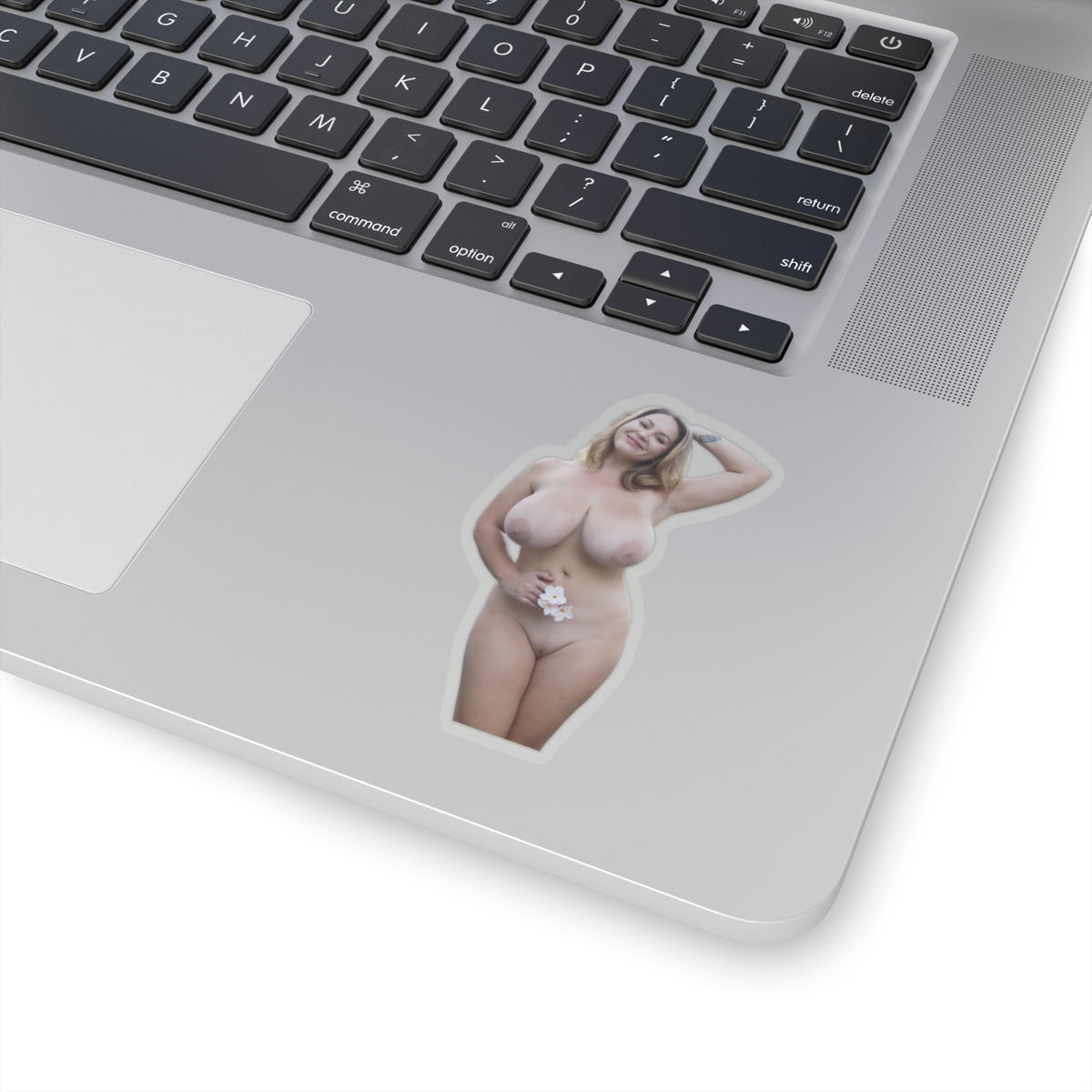 Big Tits Girl Sticker Pinup Model Stickers