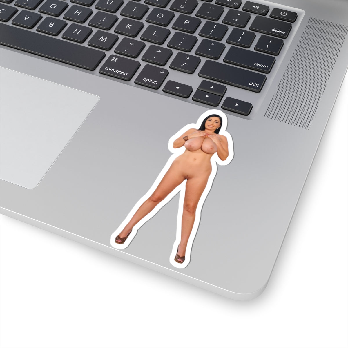 Curvy Pinup Girl Vinyl Sticker Adult Decal Glamour Model Artwork