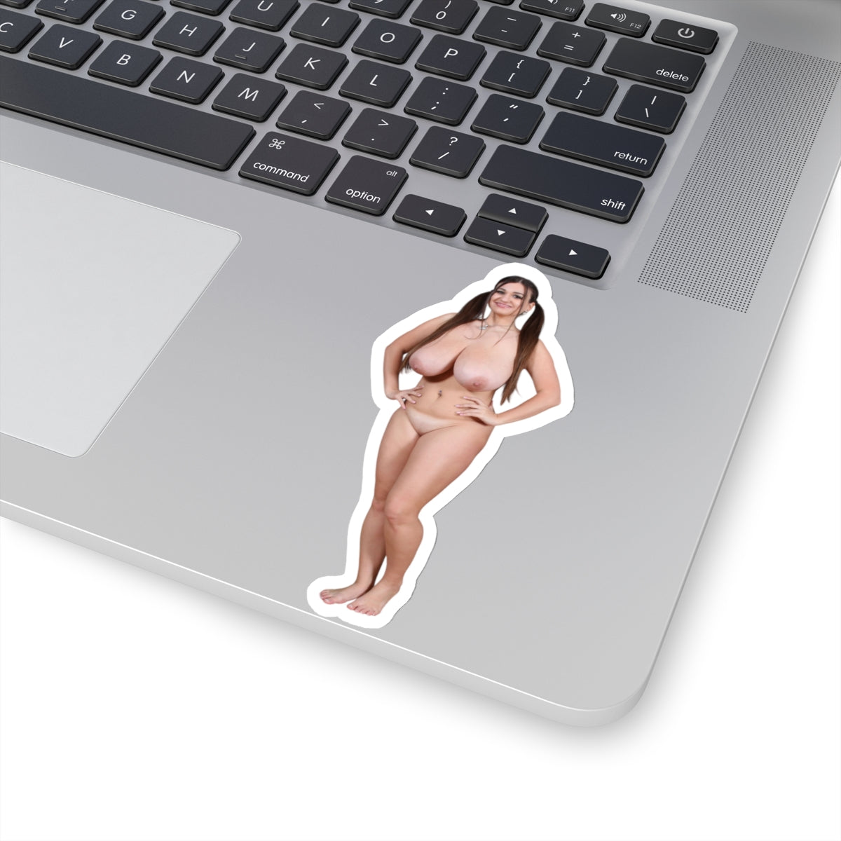 Pinup Stickers,Naked Model,naked women sticker,adult stickers,naked girl stickers,naked girl sticker,nude women,E443