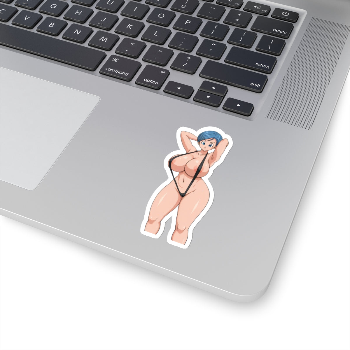 Lewd Stickers Anime Girl Sticker for Adults,Sexy Lady Sticker,Vinyl Decals for Water Bottles,Laptop,Skateboard,Computer,Phone Case,E936