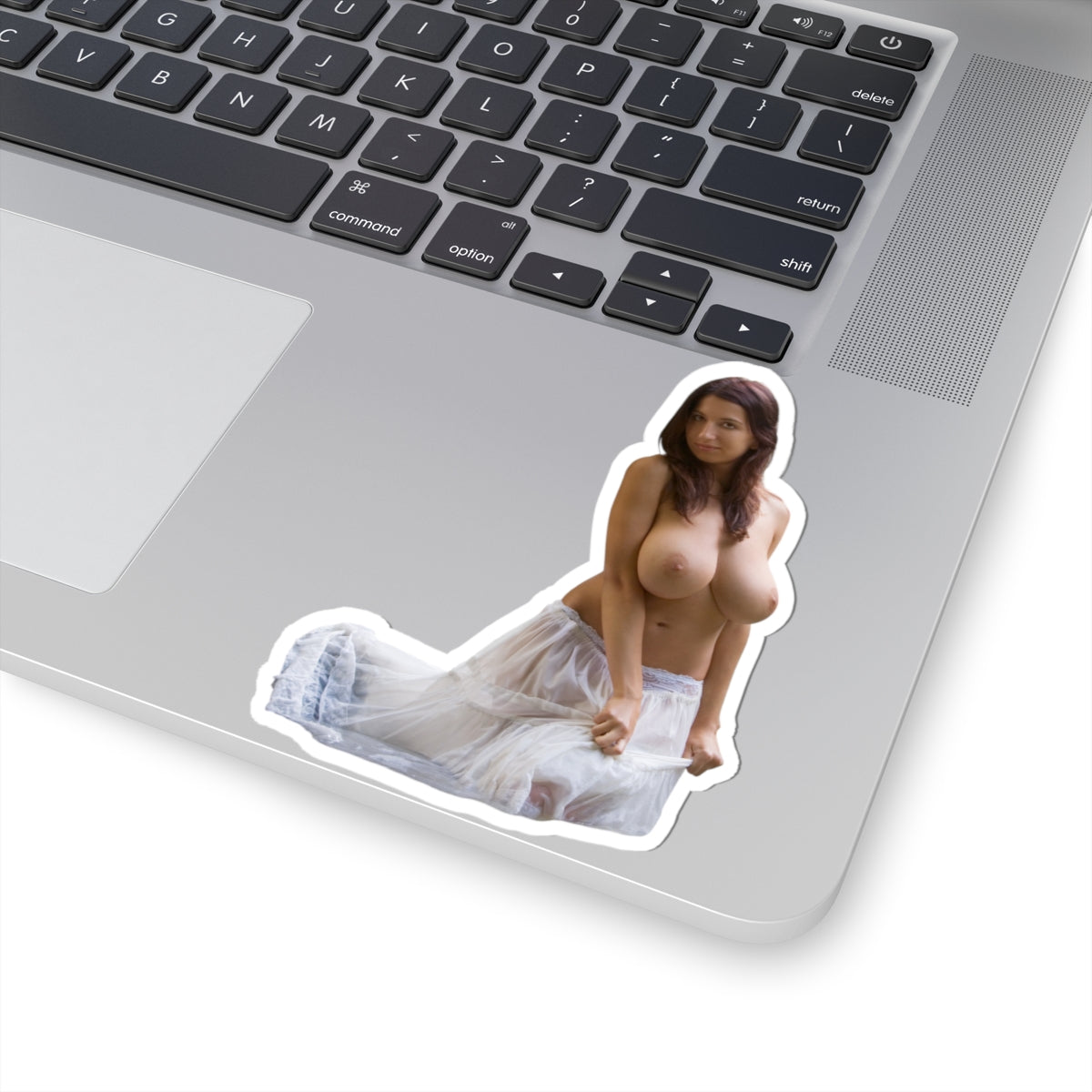 Busty Girl Sticker Big Boobs Women
