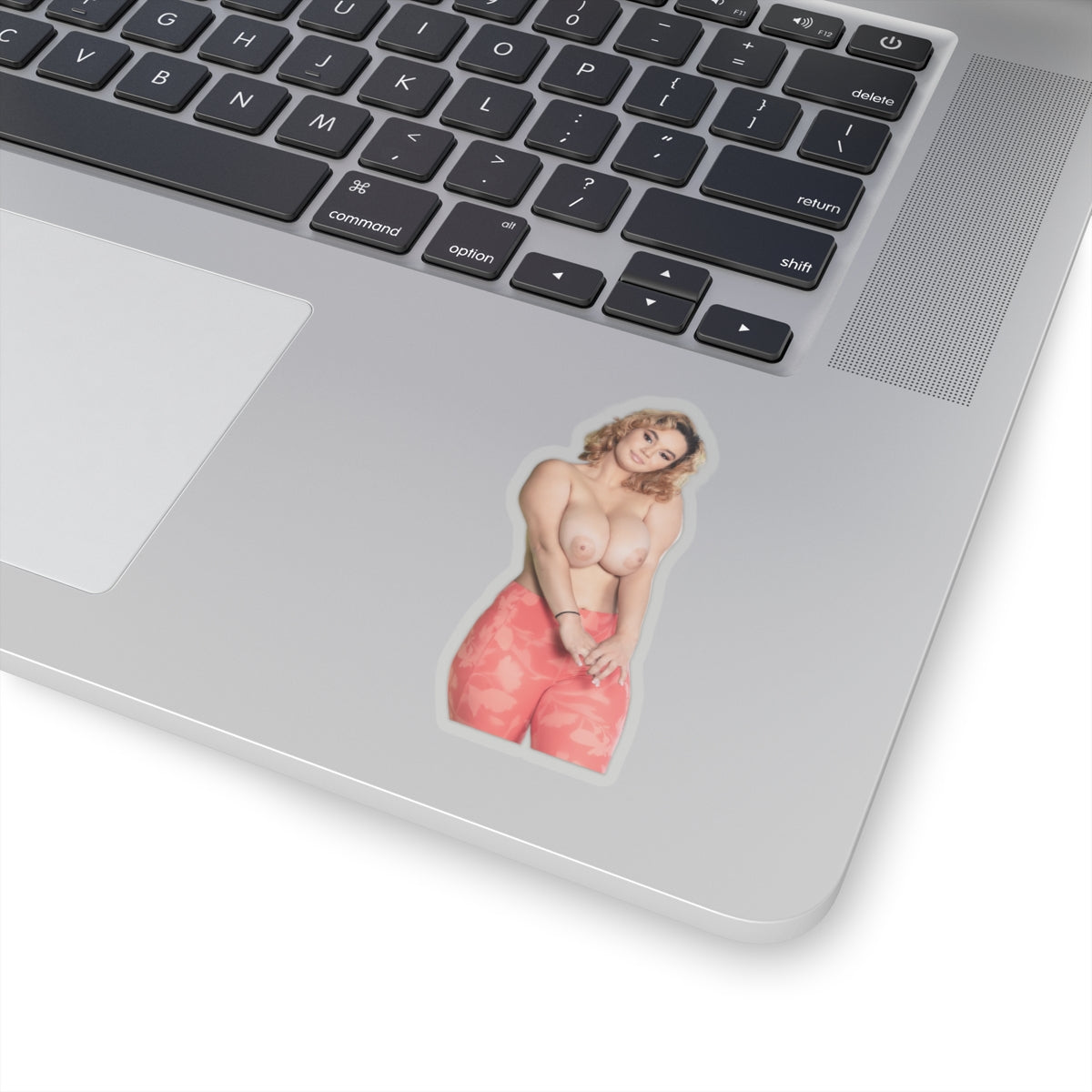 Big Boobs Girl Sticker Pinup Model Adult Stickers