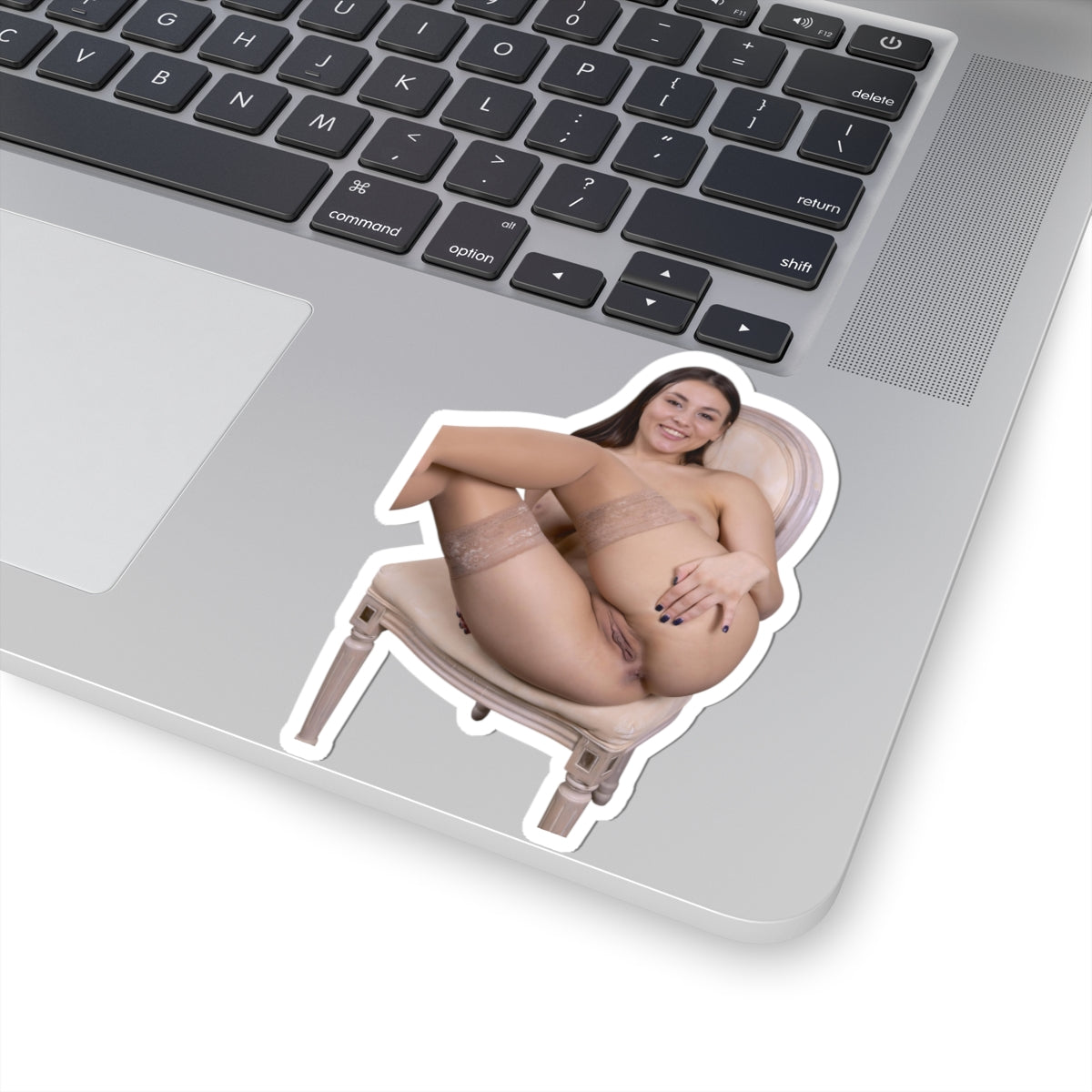 Hot Sexy Girls Sticker Nude Model Stickers