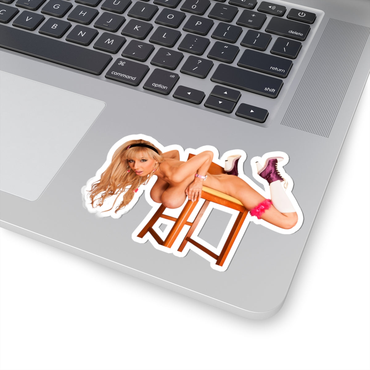Big Tits Naked Women Sticker Pinup Stickers