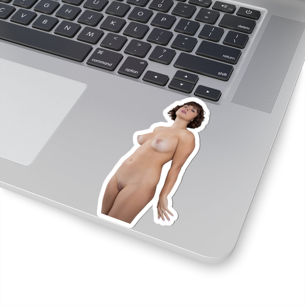 Sexy Girl Sticker Pinup Model Decals