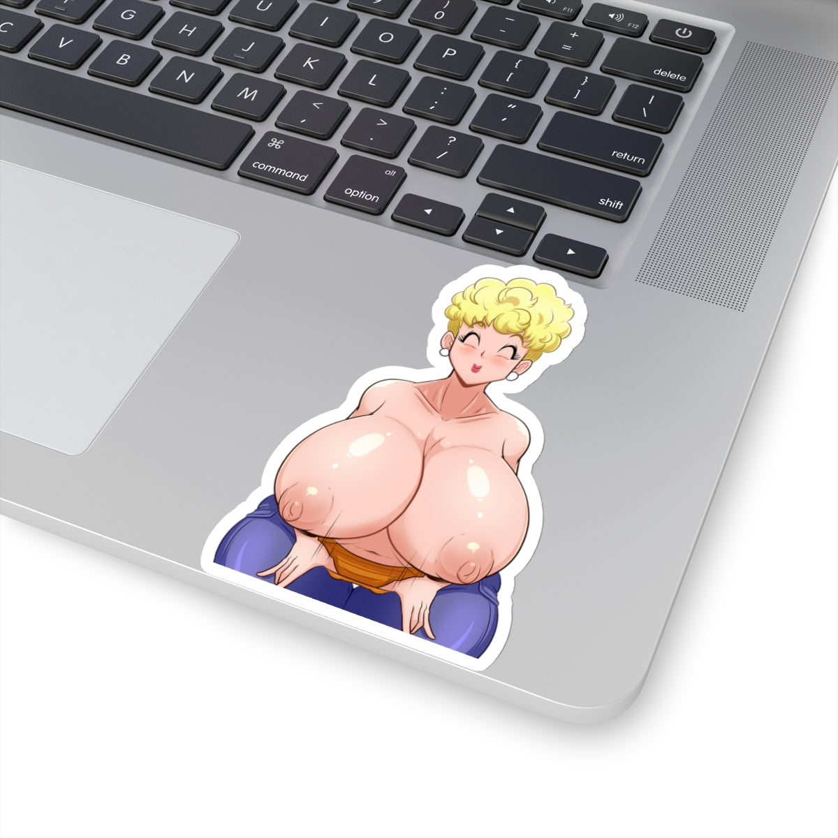 Lewd Stickers,Anime Stickers,Anime Gift,Sexy Women,Hot Anime Girl,Vinyl Stickers,Uncensored Anime Sticker,Funny Stickers,E294