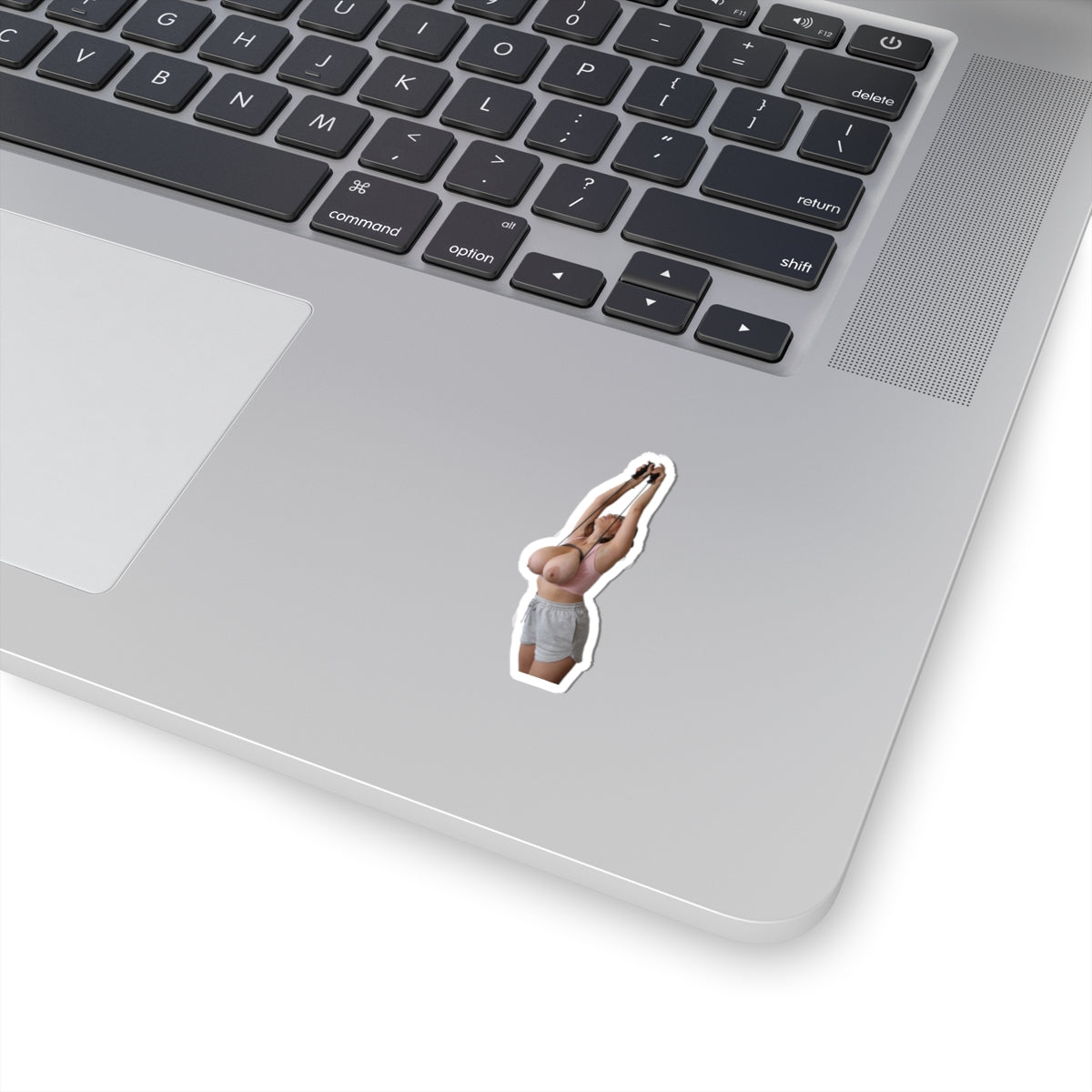 sexy fitness girl stickers