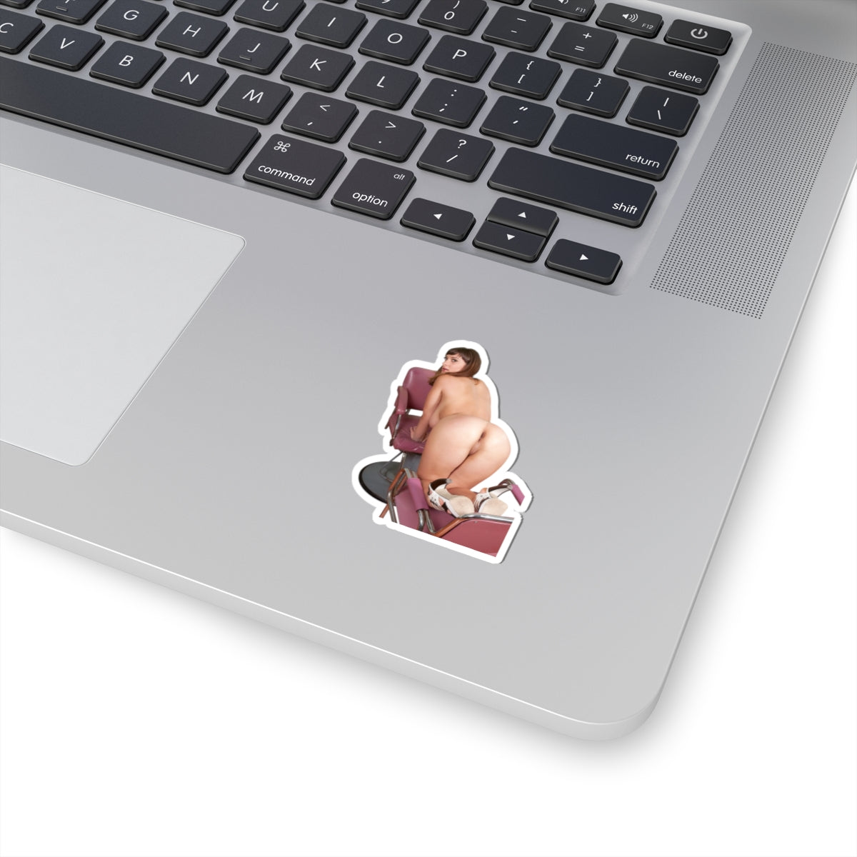 Sexy Ass Girl Sticker Pinup Stickers