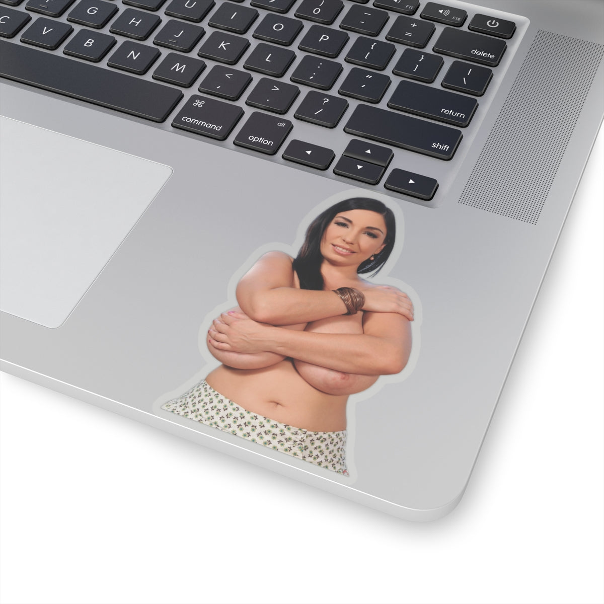 Busty Girl Vinyl Sticker Pinup Model Adult Decal Glamour Artwork