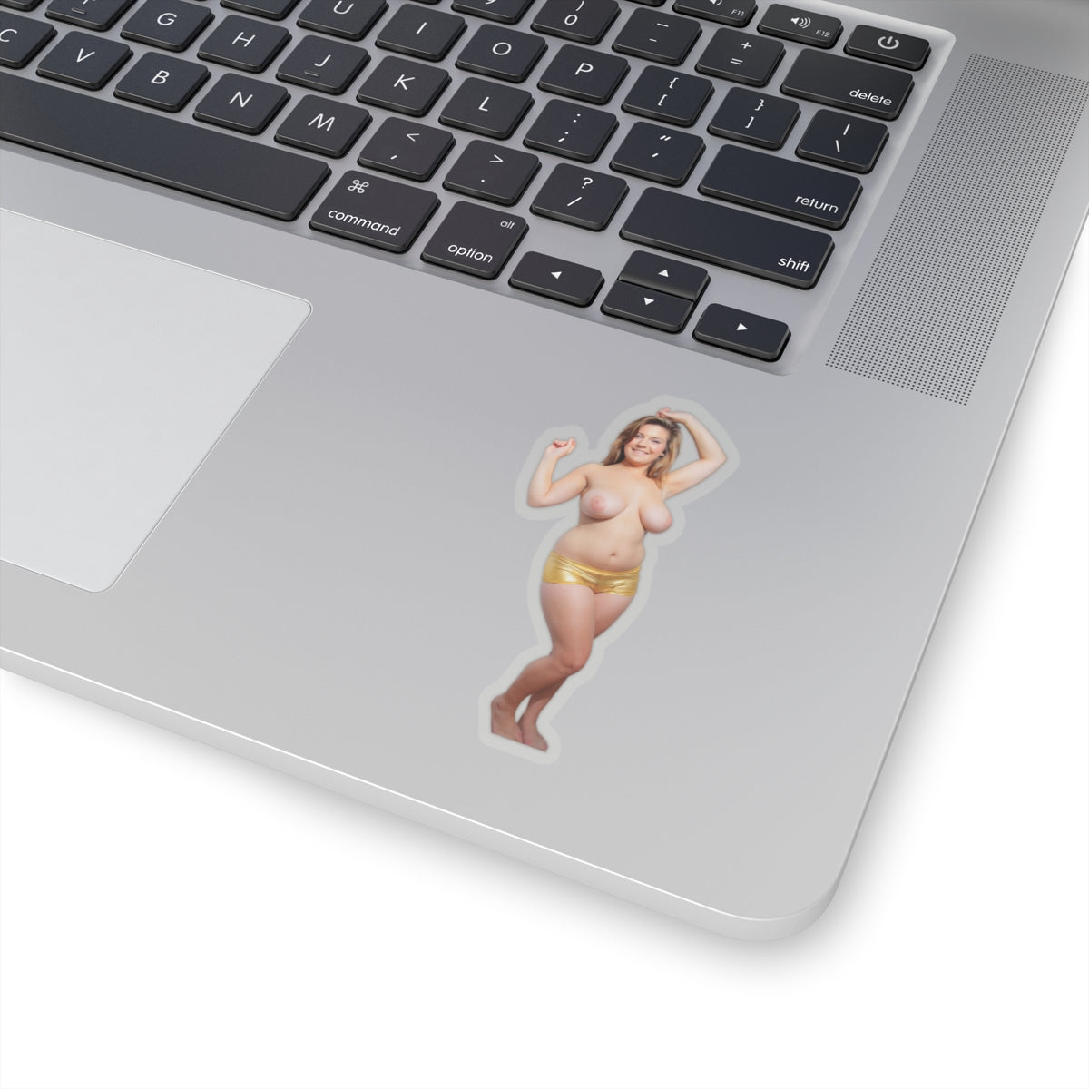 CUTE SEXY GIRL BIG TITS STICKERS