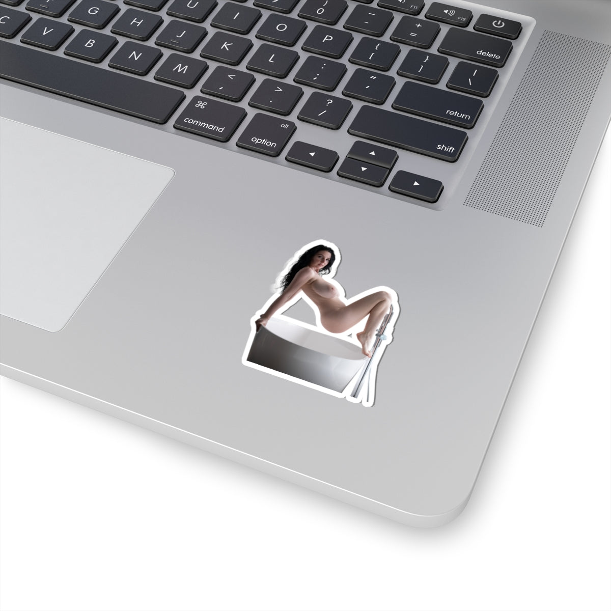 Big Tits Laurine Model Stickers Sexy Girl Sticker