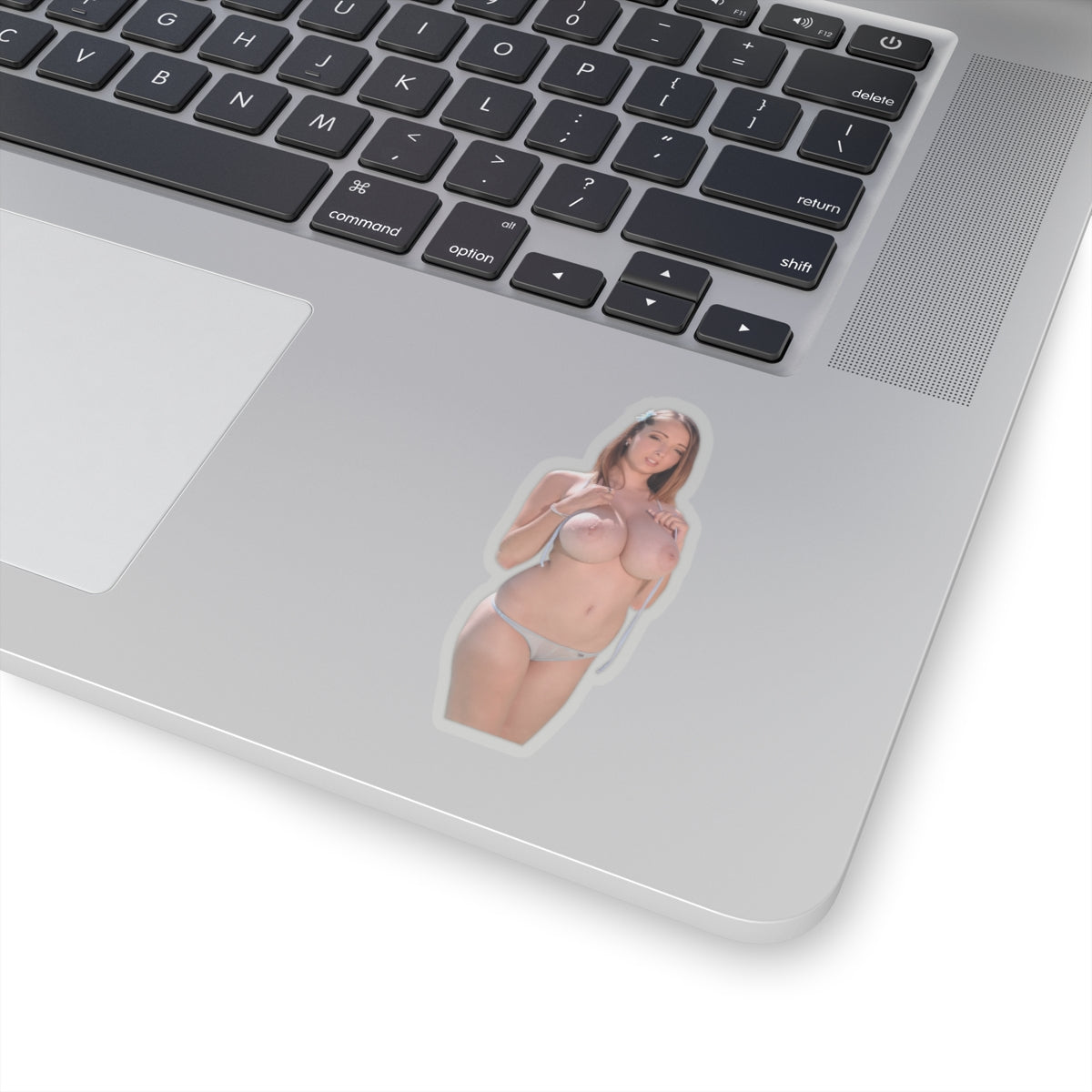 Big Boobs Sexy Pinup Model Sticker