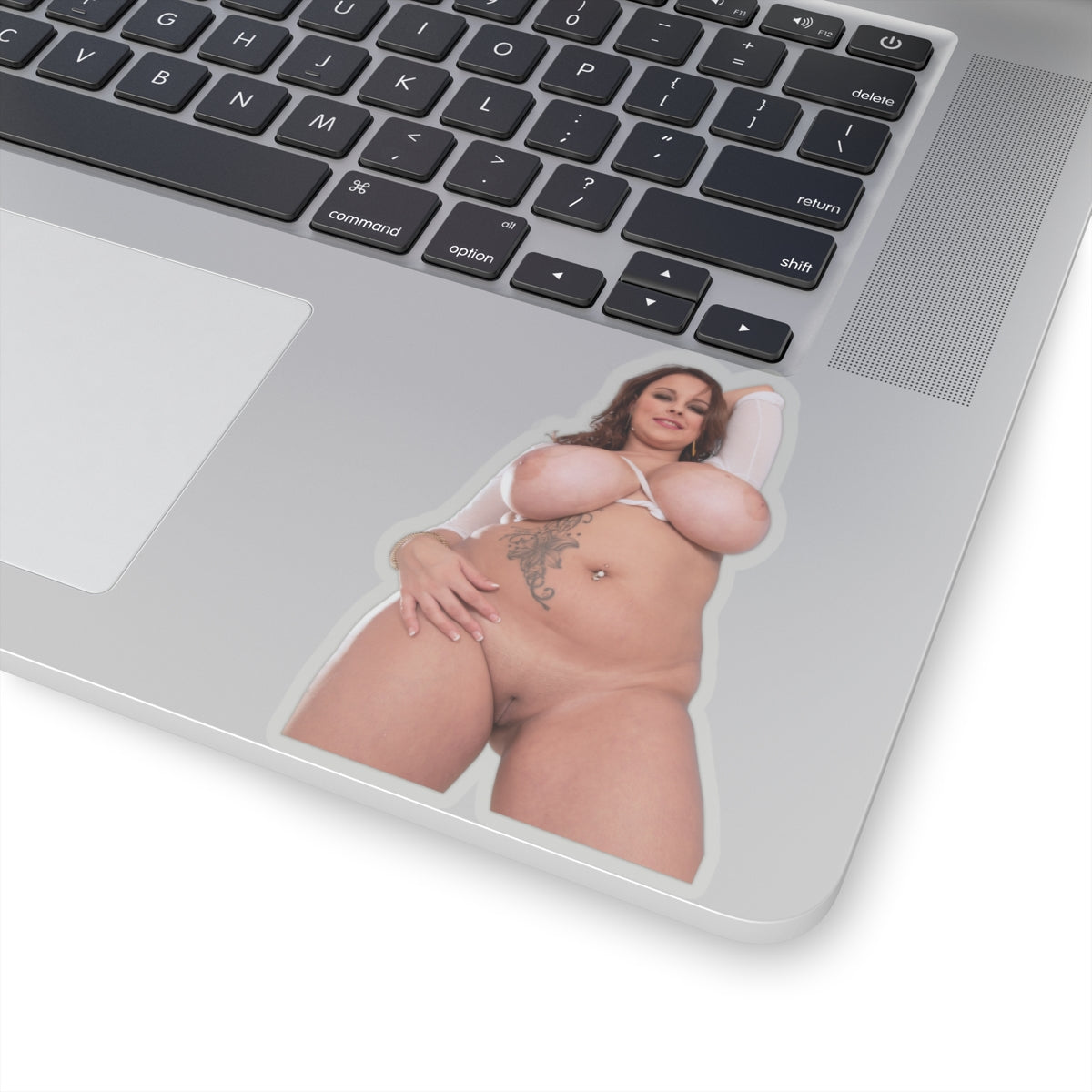 Terri Jane Sticker Big Boobs Girl Stickers