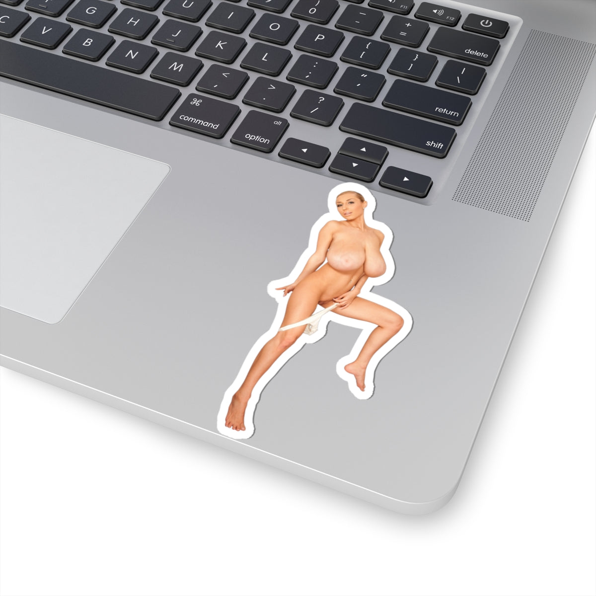 Busty Girl Vinyl Sticker Naked Woman Bathroom Adult Artwork