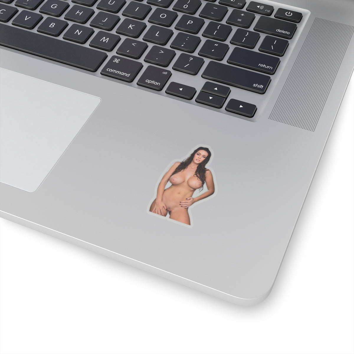 Erotic Sticker Big Tits Pinup Girl Stickers