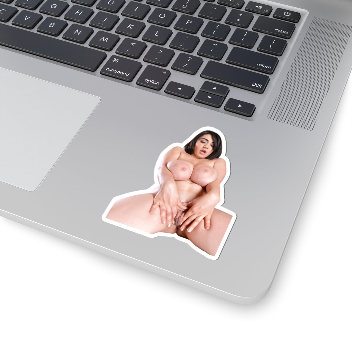 Sexy Girl Sticker Big Boobs Naked Uncensored Stickers