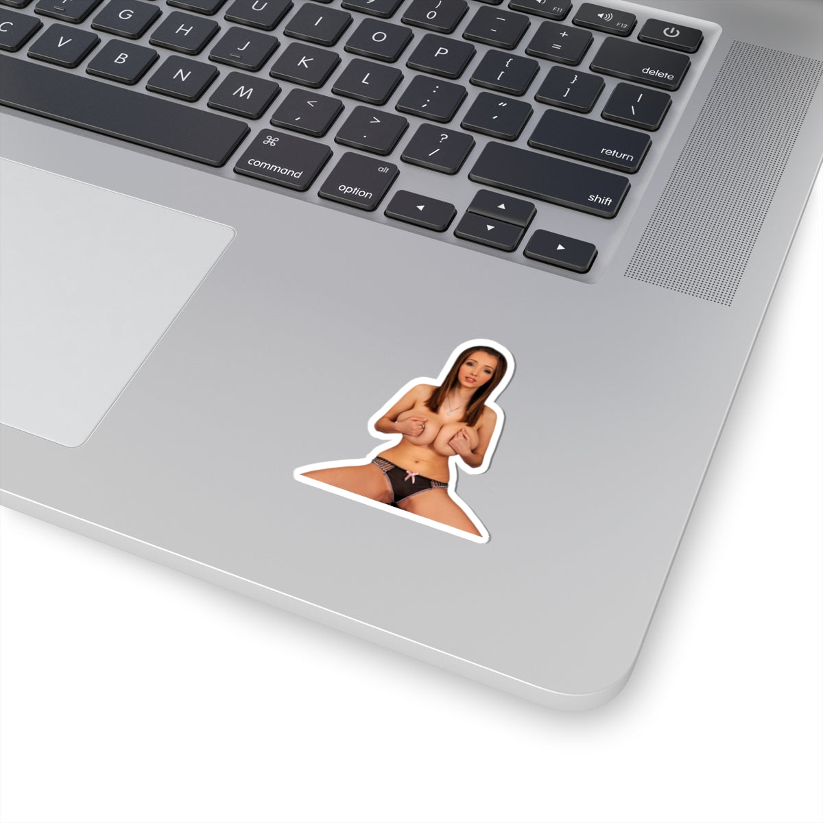 Big Breasts Pinup Girl Sticker