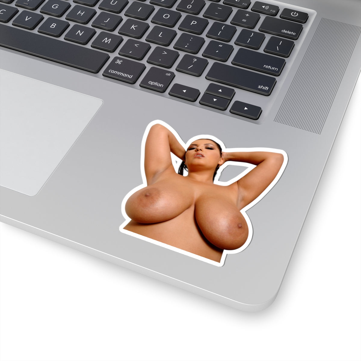 Pretty Girl Sticker Pinup Naked Big Boobs Girl Stickers