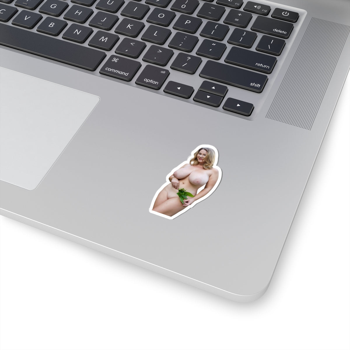 Big Tits Girl Sticker Pinup Model Adult Stickers