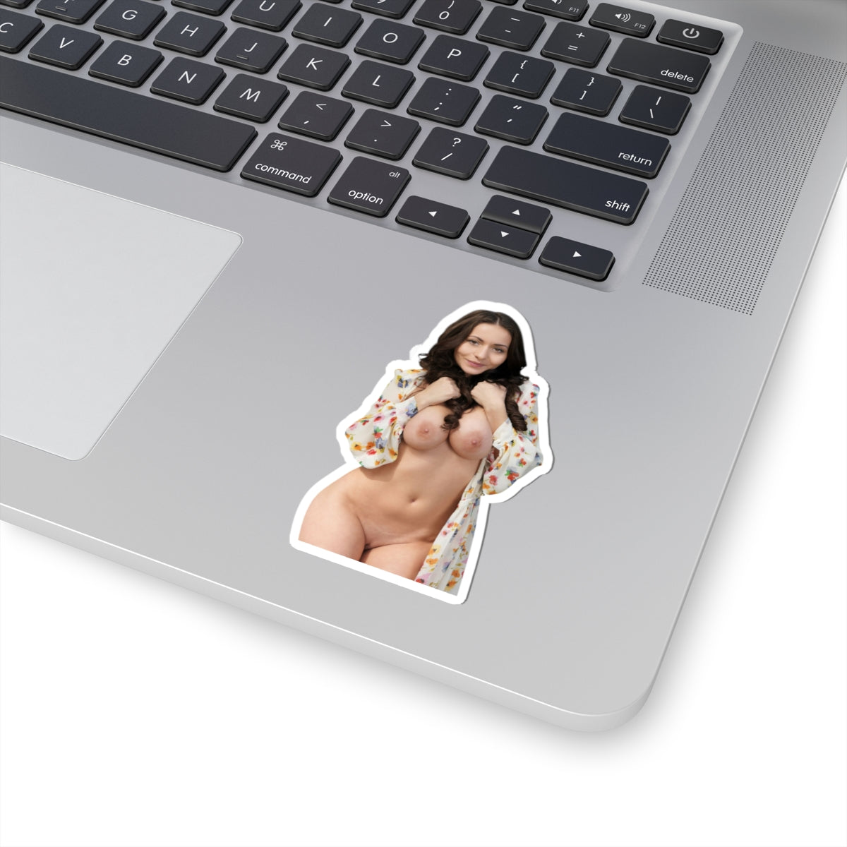 Pinup Sticker Hot Sexy Model Stickers