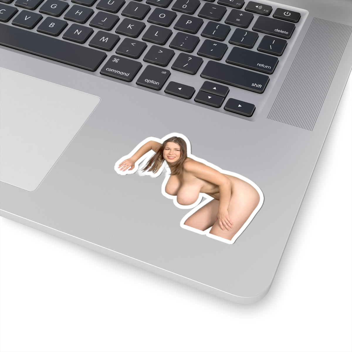 Terry Nova Sticker Naked Pretty Girl Stickers