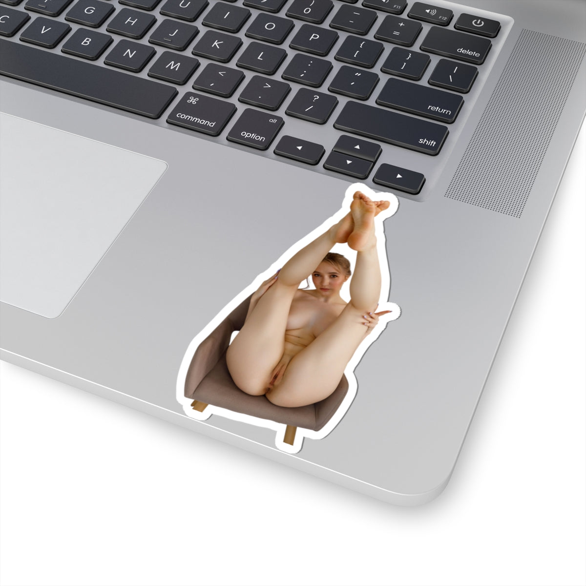 Pinup Stickers Sexy Nude Women Sticker
