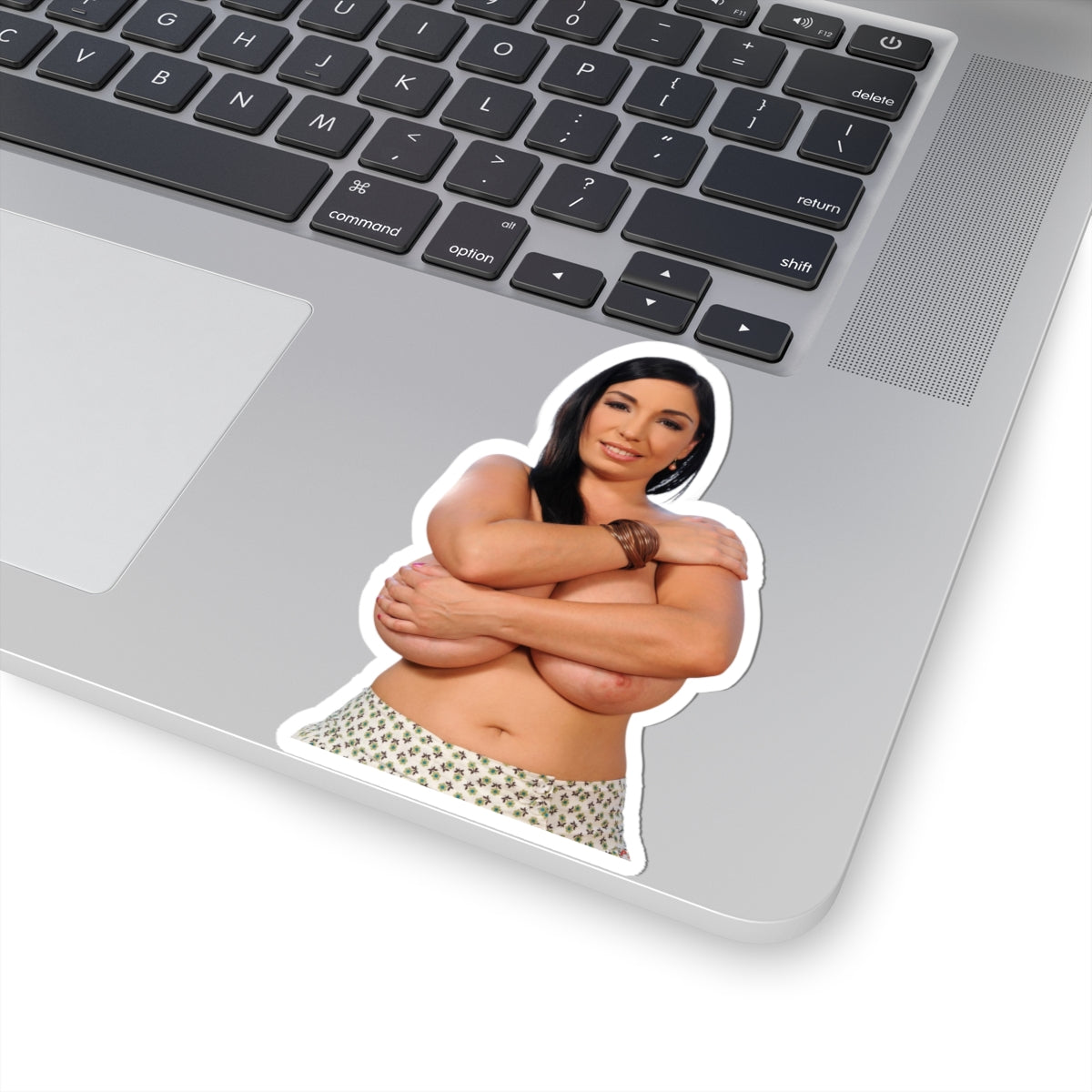 Busty Girl Vinyl Sticker Pinup Model Adult Decal Glamour Artwork