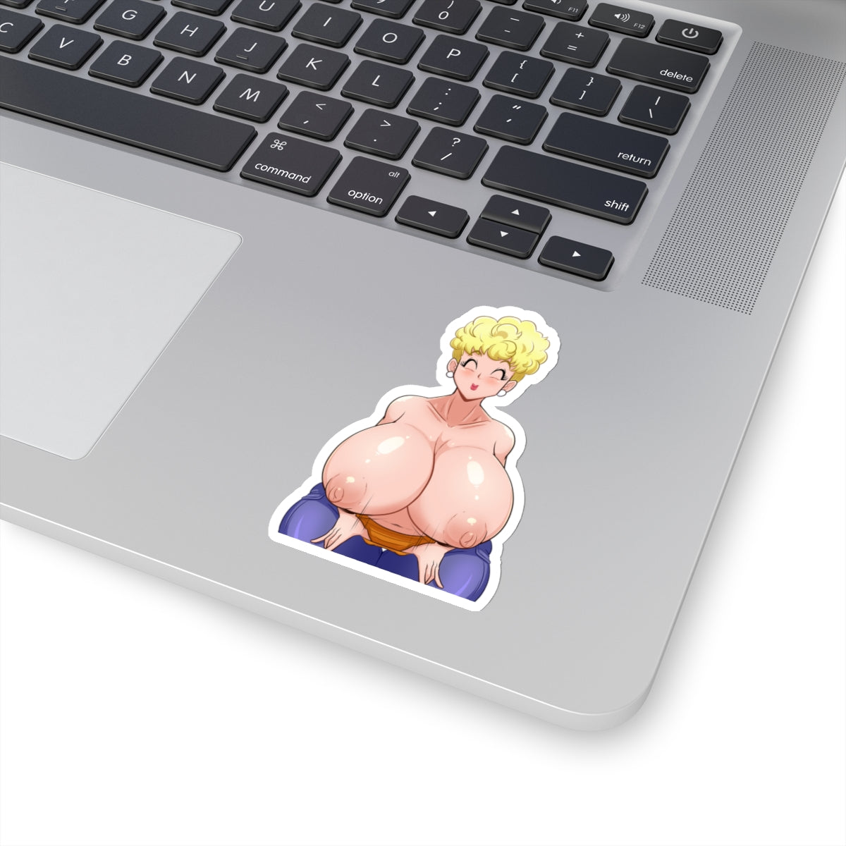 Lewd Stickers,Anime Stickers,Anime Gift,Sexy Women,Hot Anime Girl,Vinyl Stickers,Uncensored Anime Sticker,Funny Stickers,E294