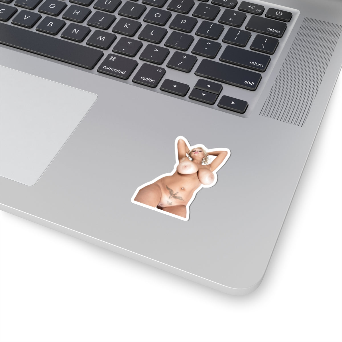 Sexy Blond Girl Big Tits Erotic Sticker