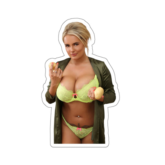 Beautiful Blond Model Sticker Hot Sexy Girl 4 Sizes Transparent or White Vinyl Stickers E358