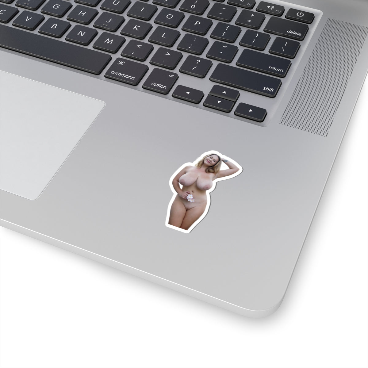 Big Tits Girl Sticker Pinup Model Stickers