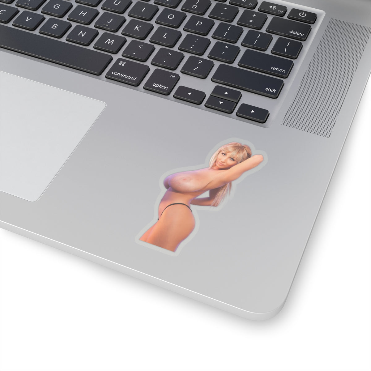 Sexy Girl Sticker Big Tits Women Pinup Model Uncensored Adult Laptop Water Bottle Vinyl Stickers E500