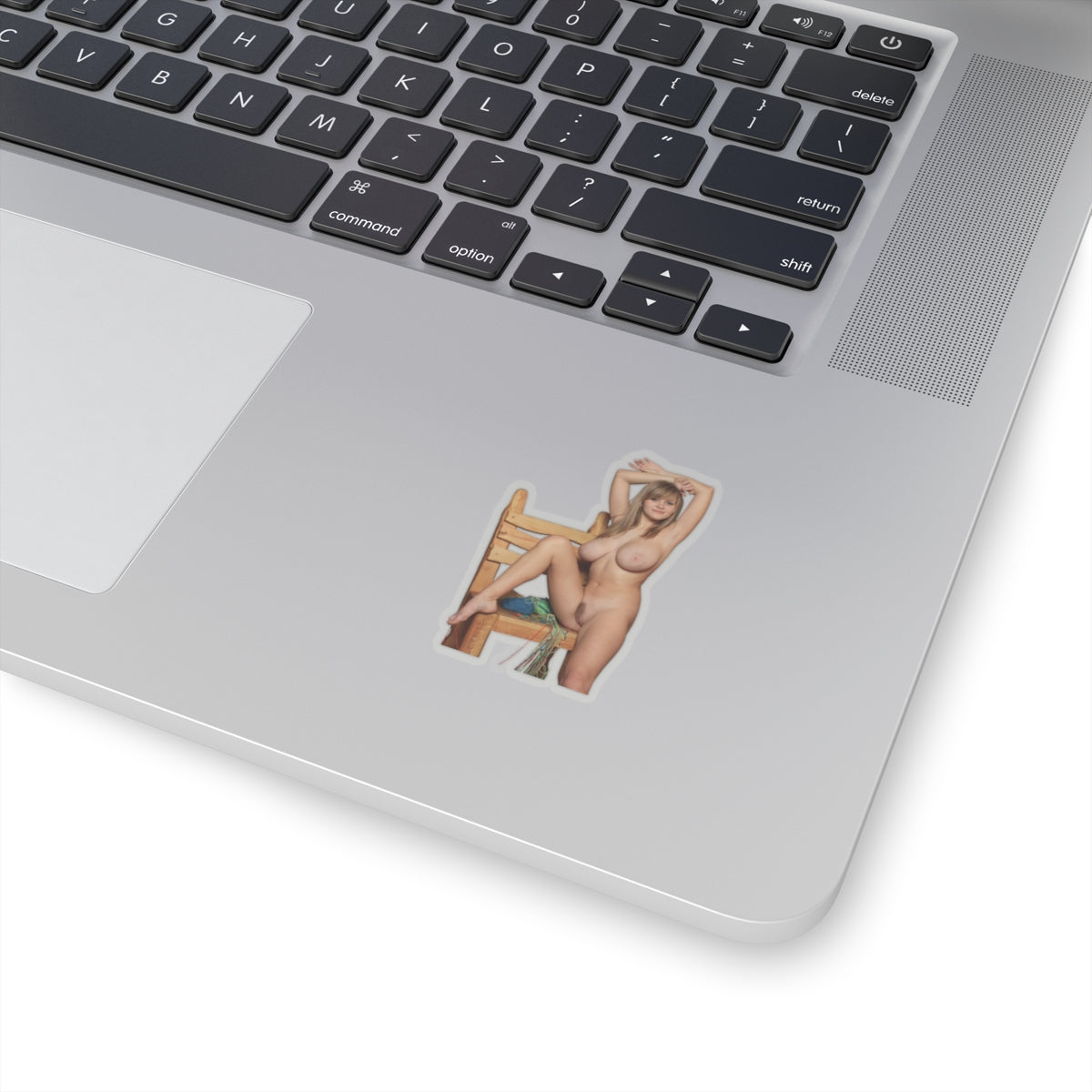 Sexy Big Boobs Nude Girl Sticker Adult Stickers For Men