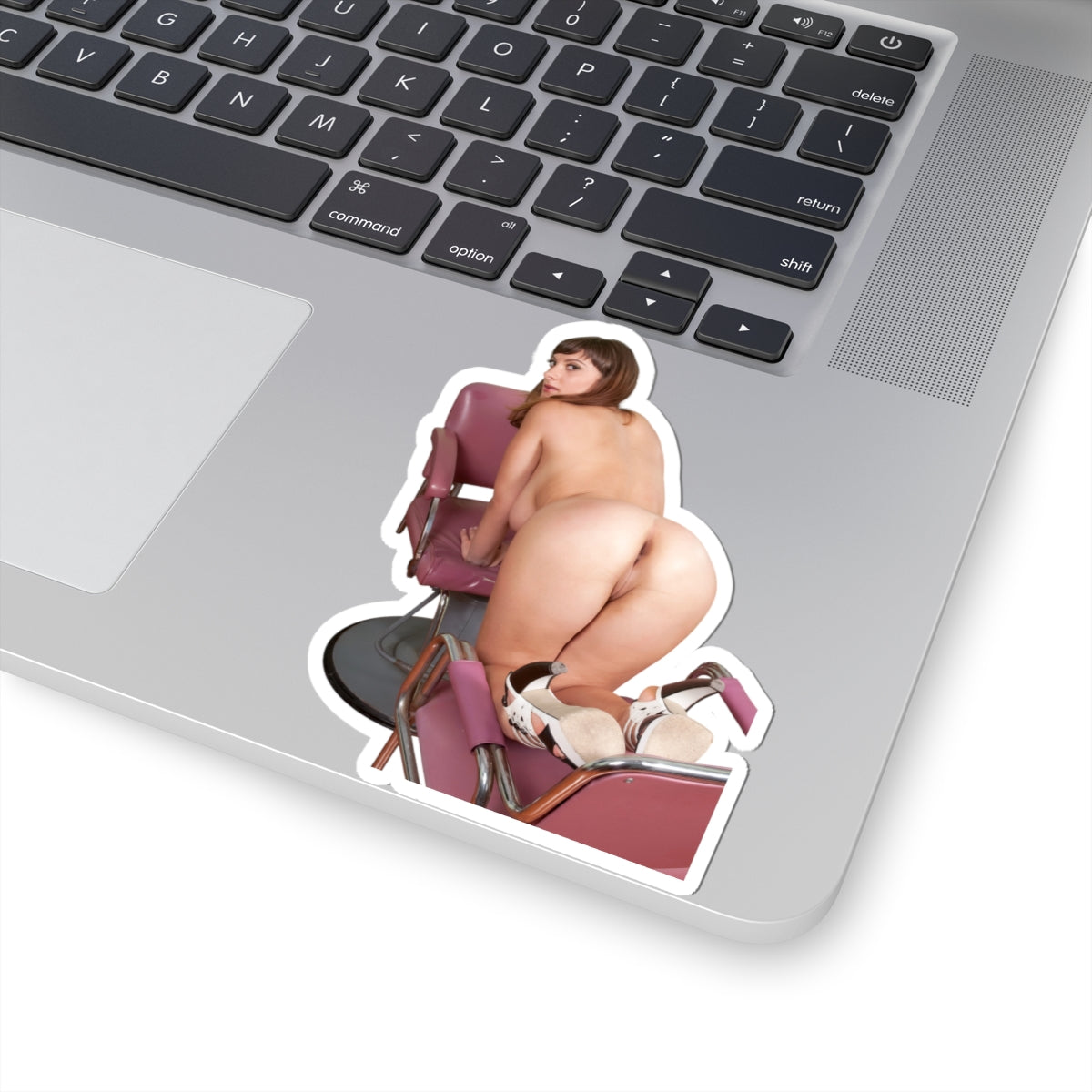 Sexy Ass Girl Sticker Pinup Stickers