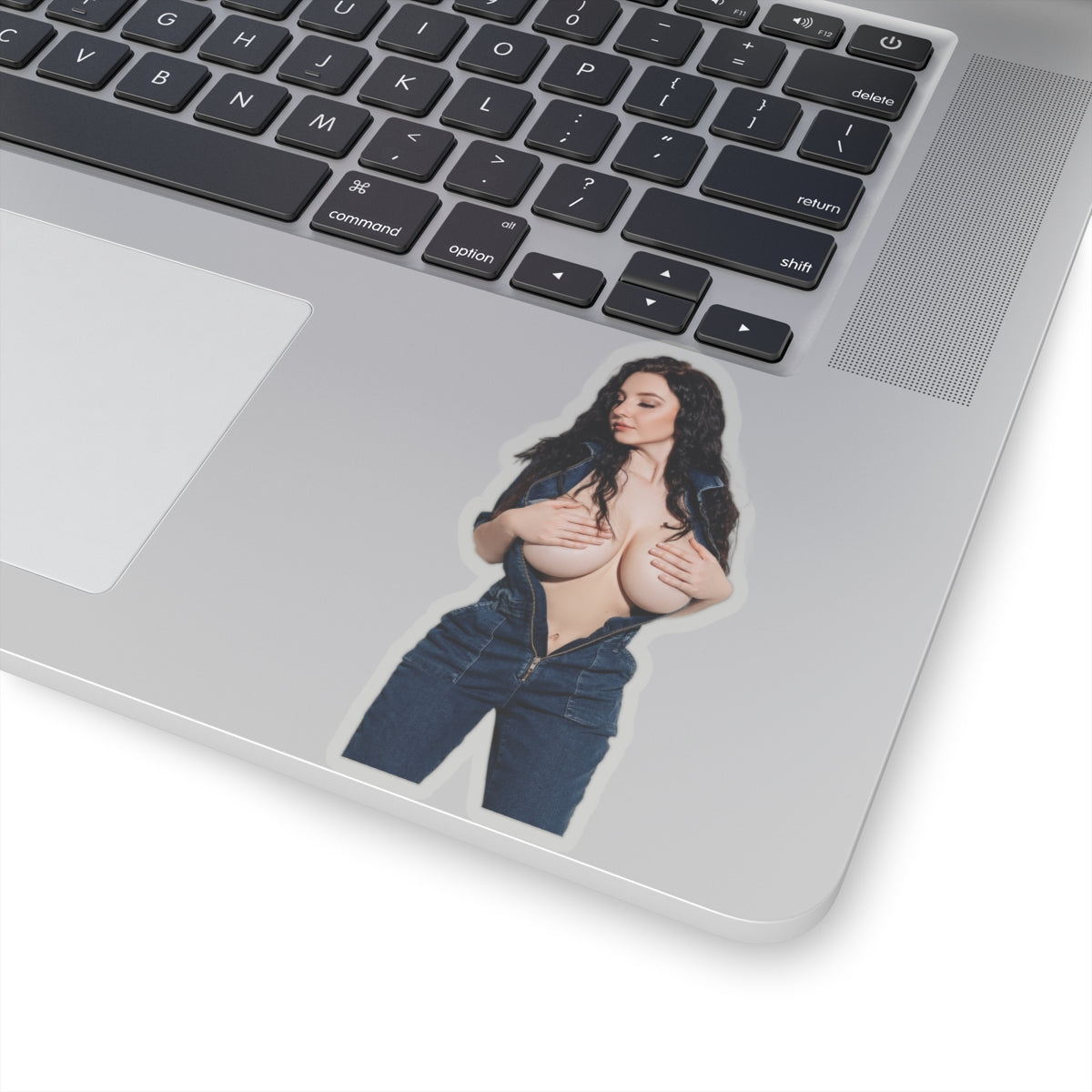 Big Tits Laurine Model Stickers Sexy Girl