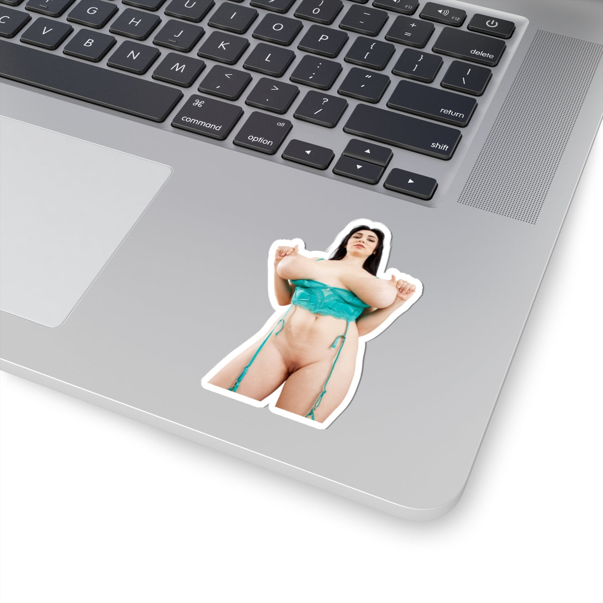 Sexy Girl Sticker Big Tits Women Pinup Naked Uncensored Stickers