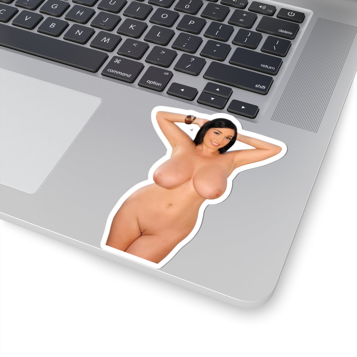 Busty Pinup Model Vinyl Sticker Adult Decal Sexy Woman Design