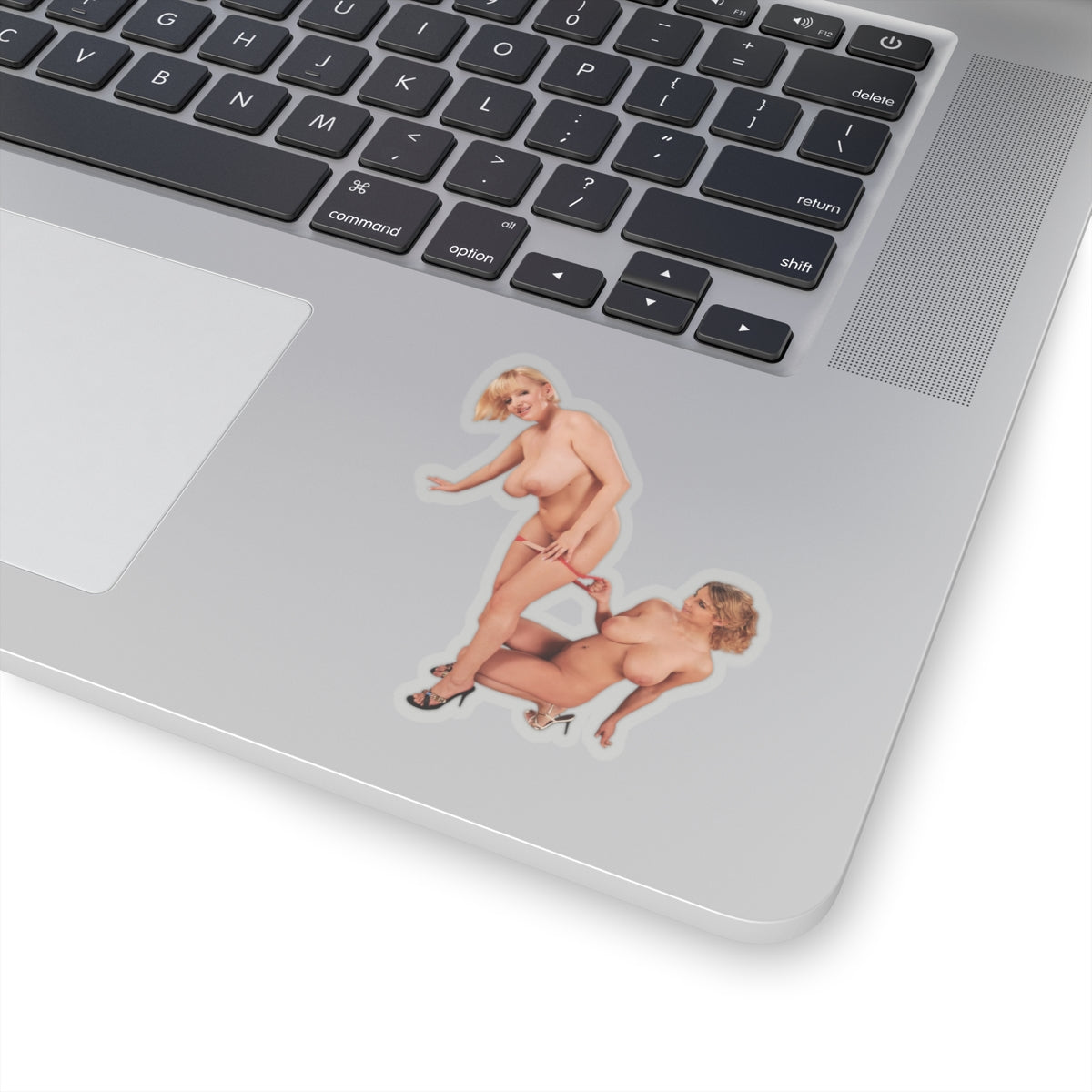Two Busty Girls Stickers Glamour Woman Adult Decals