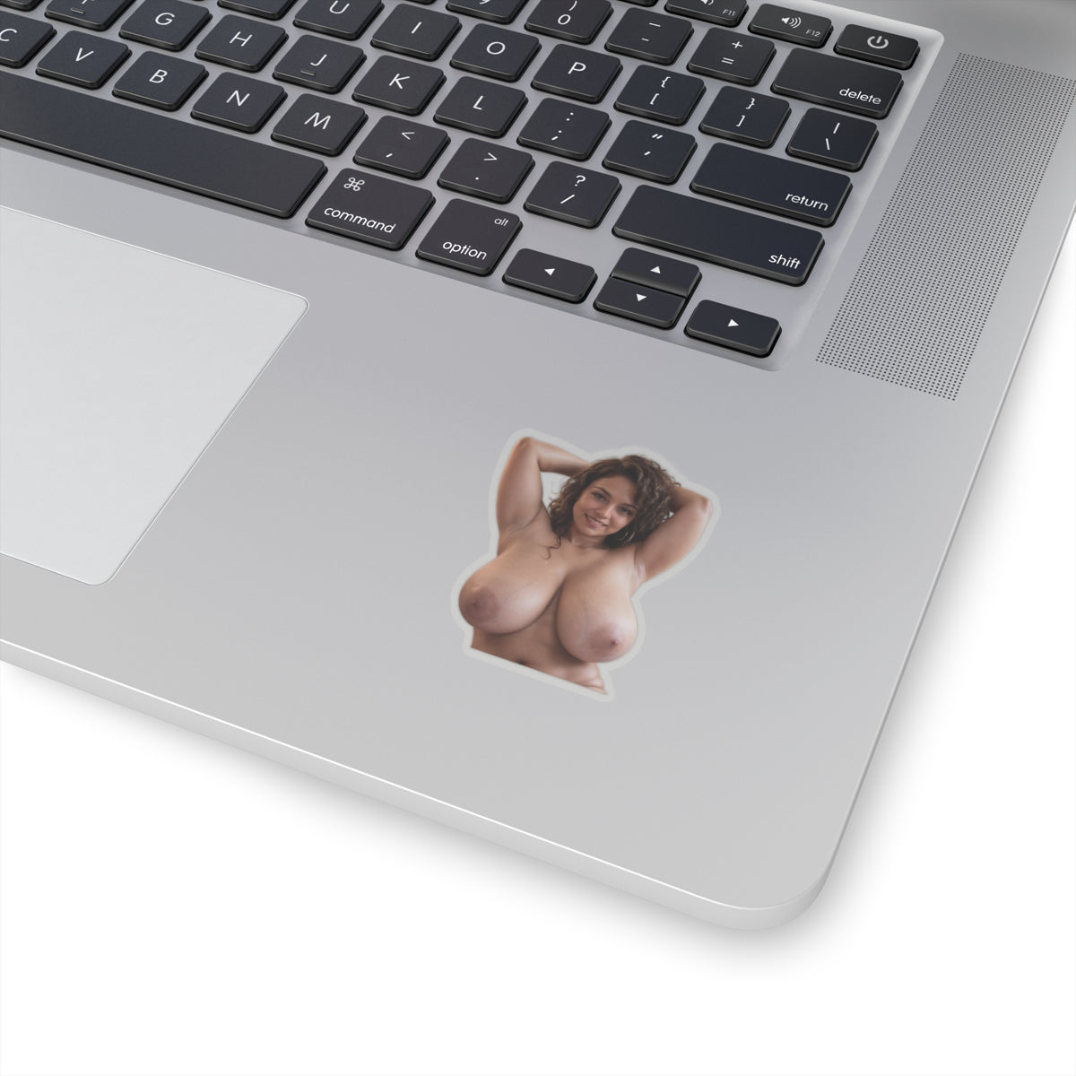 Huge Big Boobs Lady Sticker Adult Stickers XXX Decals
