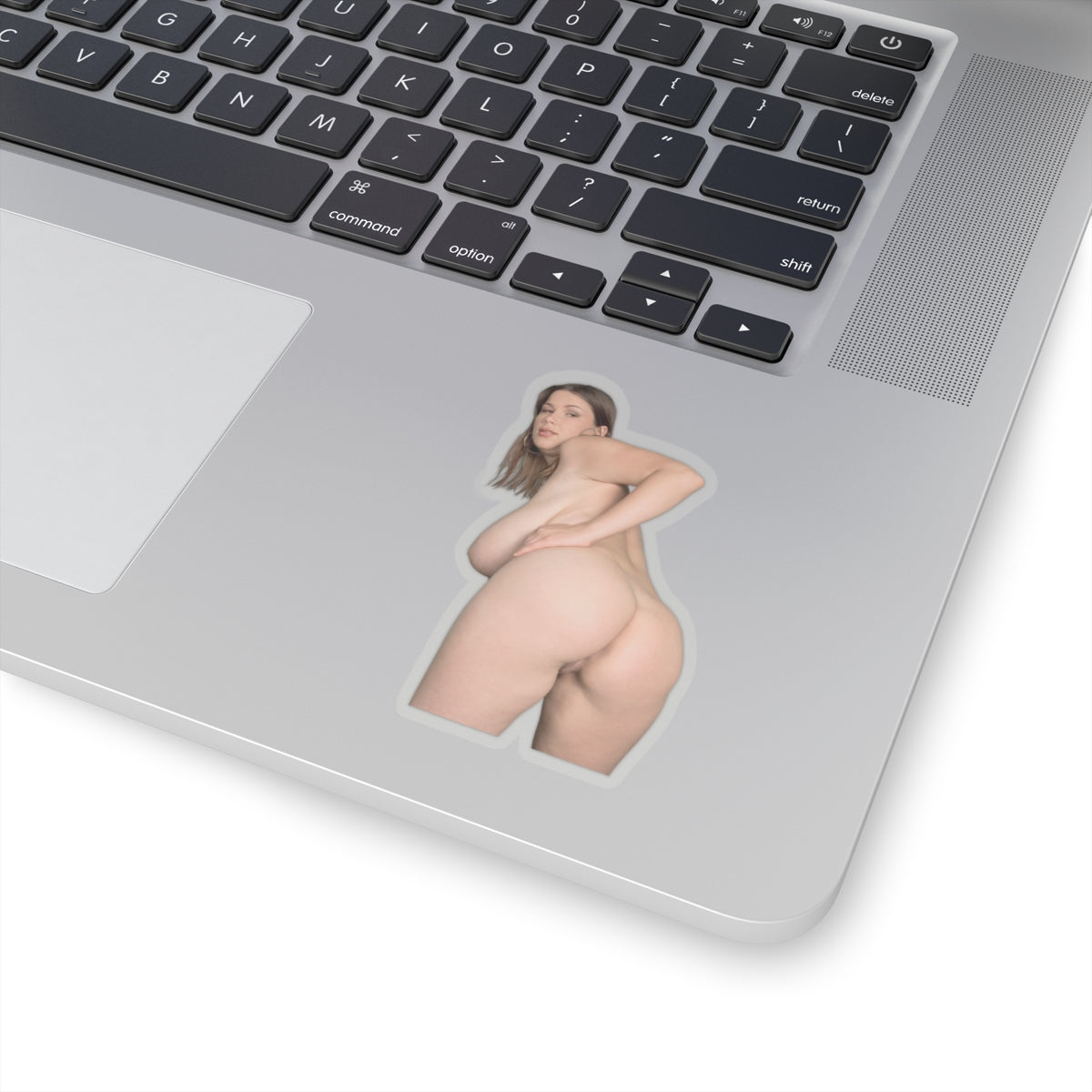 Big Ass Boobs Girl Sticker 2