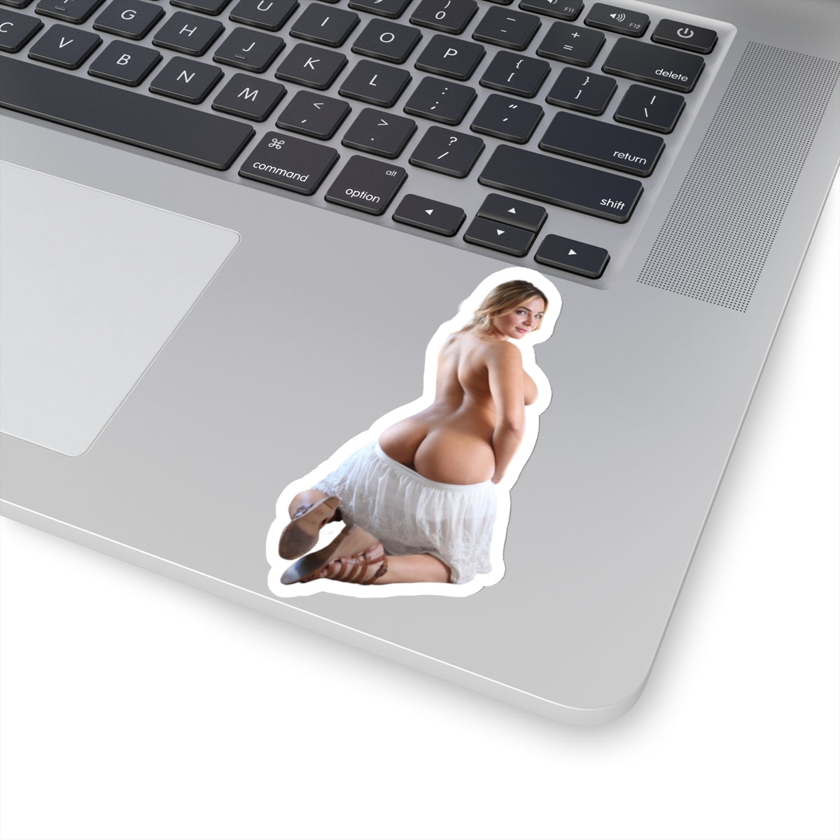 Naked Beauty Sticker Nude Model Cute Girl Sexy Woman Pinup Women Stickers E363